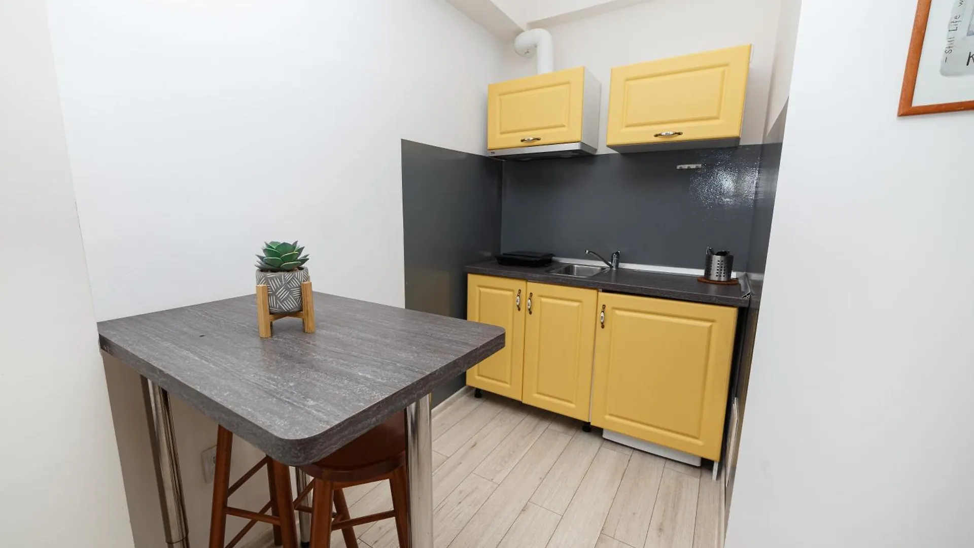 בוקרשט Antic Apartments